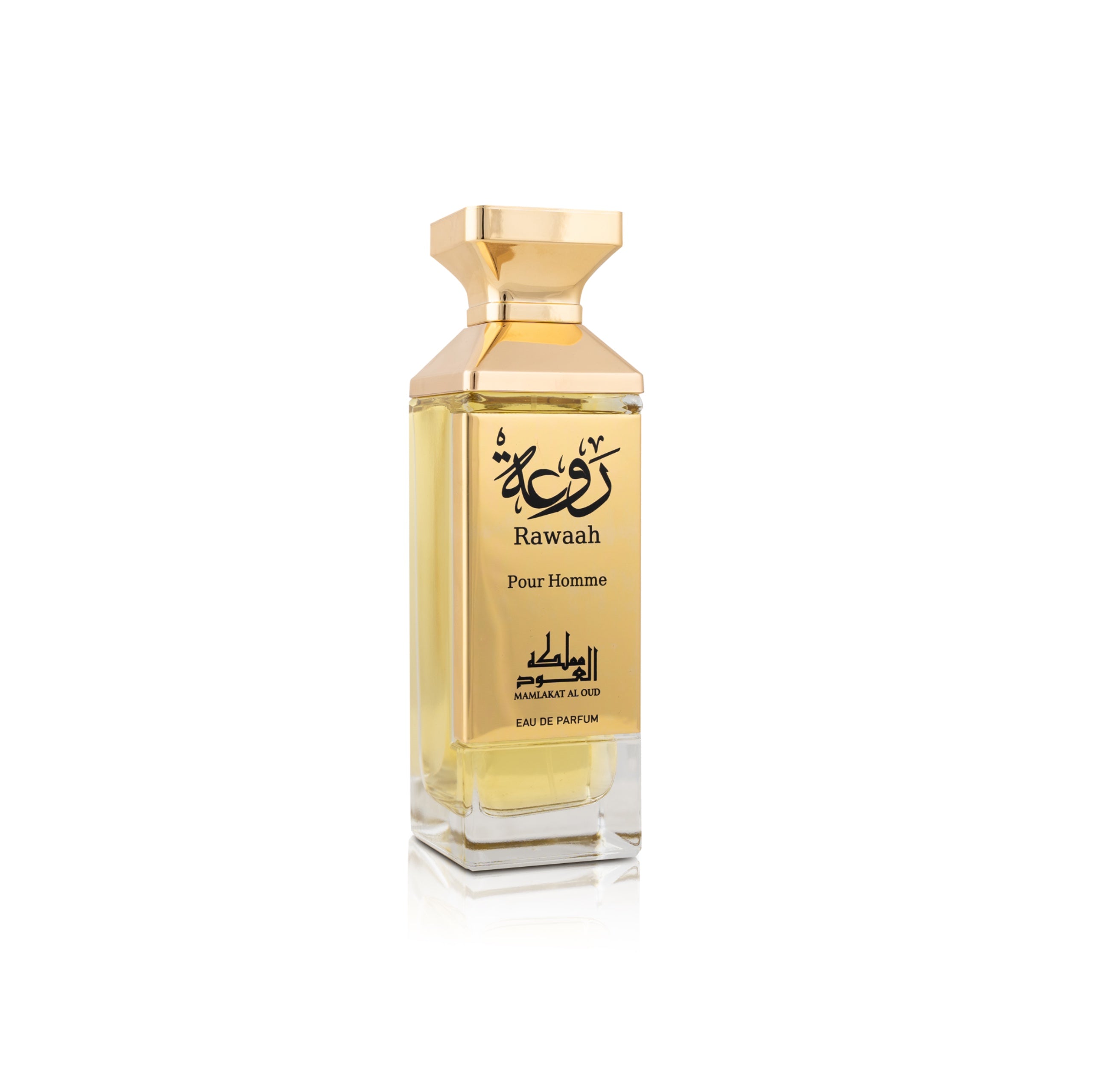 Mamlakat Al Oud Rawaah Pour Homme
