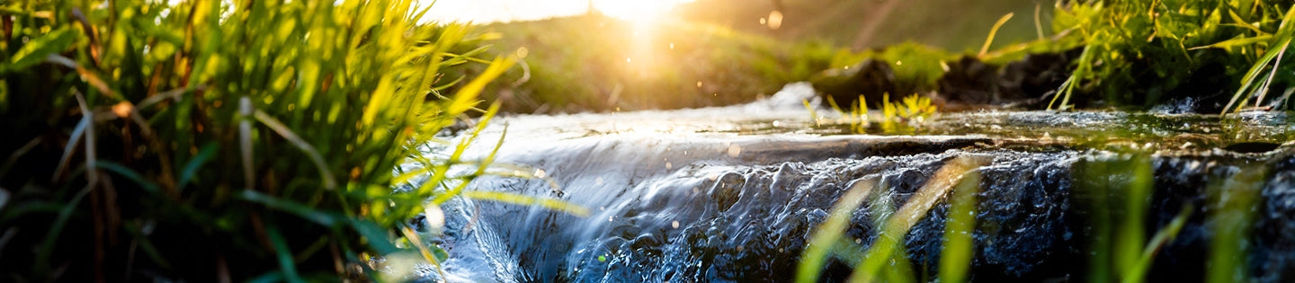 Fresh and Clean Fragrance Collection