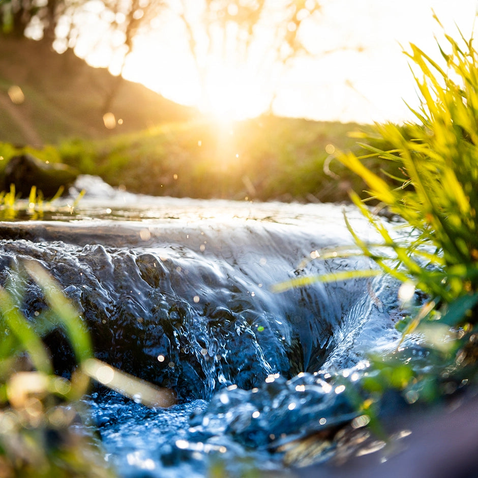 Luxury Fragrance Lifestyle Shot