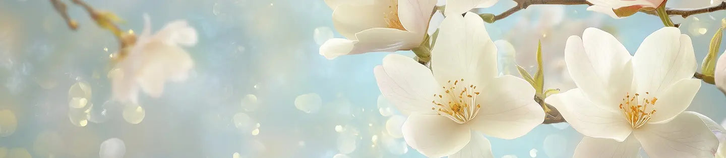 Mamlakat Al Oud Logo Image