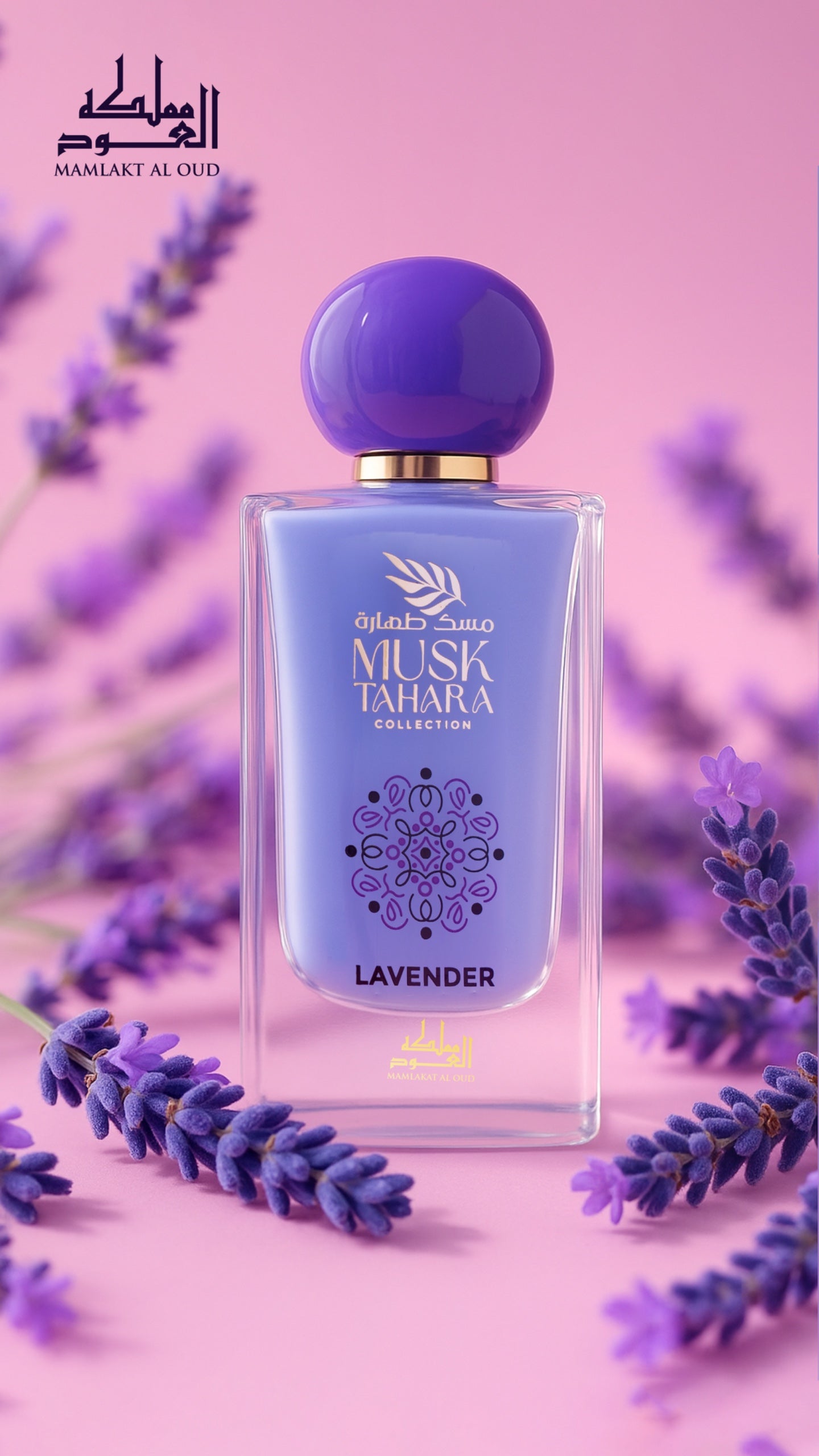 Lavender, Musk Tahara